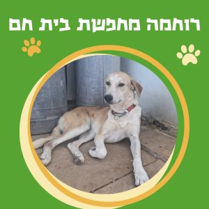 WhatsApp Image 2025-10-29 at 15.23.56