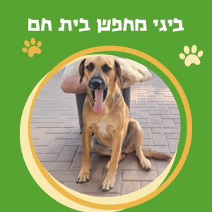 WhatsApp Image 2025-10-29 at 15.23.57 (1)