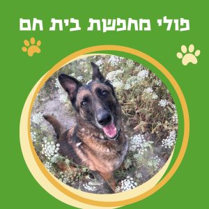 WhatsApp Image 2025-10-29 at 15.23.57 (2)