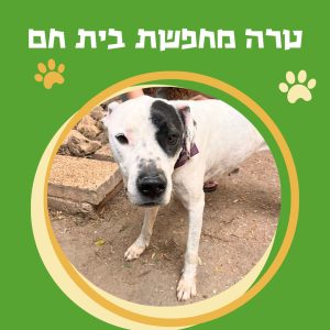 WhatsApp Image 2025-10-29 at 15.23.57