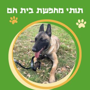 WhatsApp Image 2025-10-29 at 15.23.58 (1)