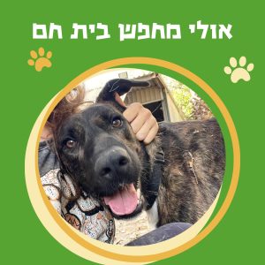 WhatsApp Image 2025-10-29 at 15.23.58